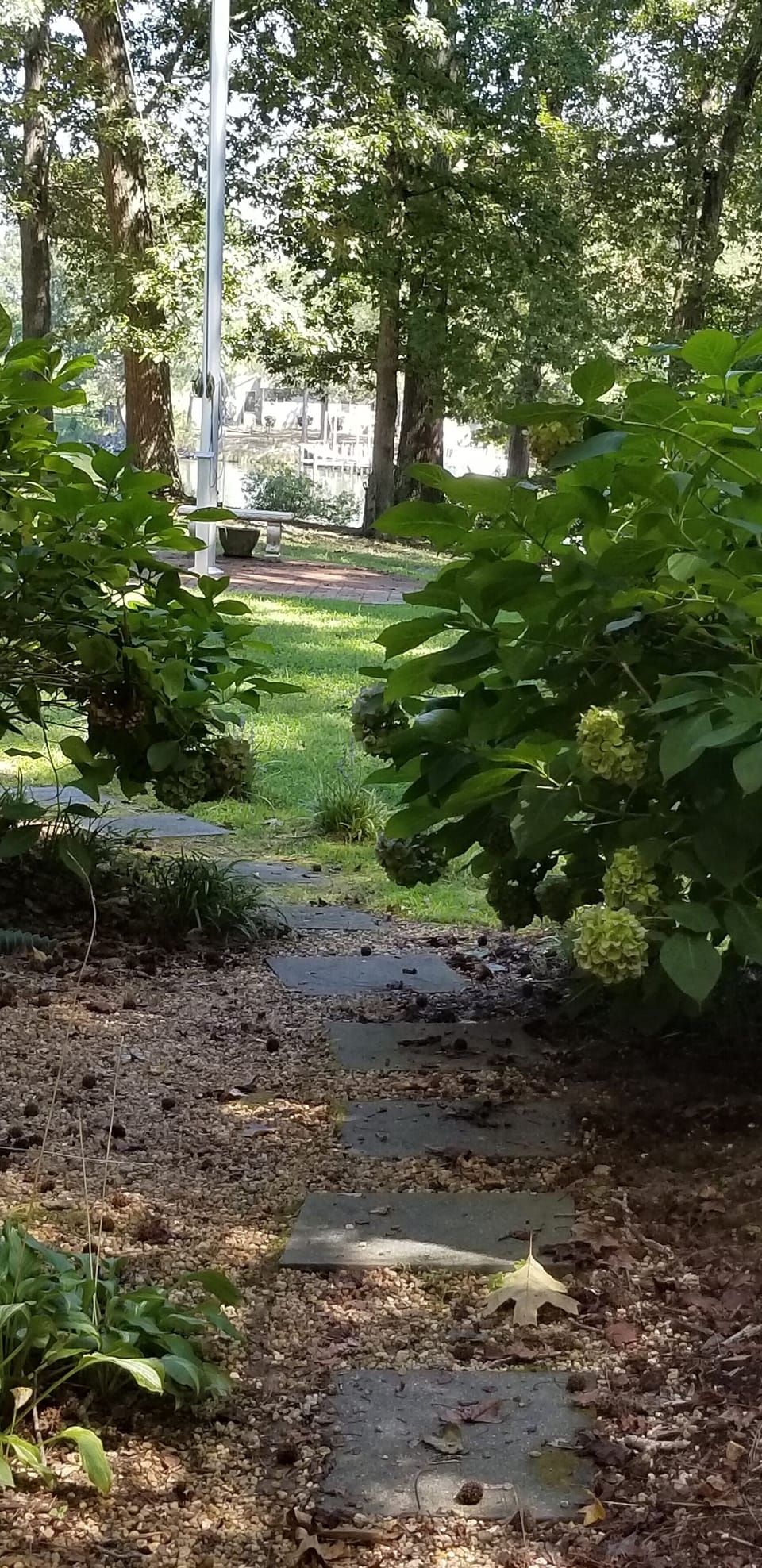 A peek through the tree filled yard down to the dock