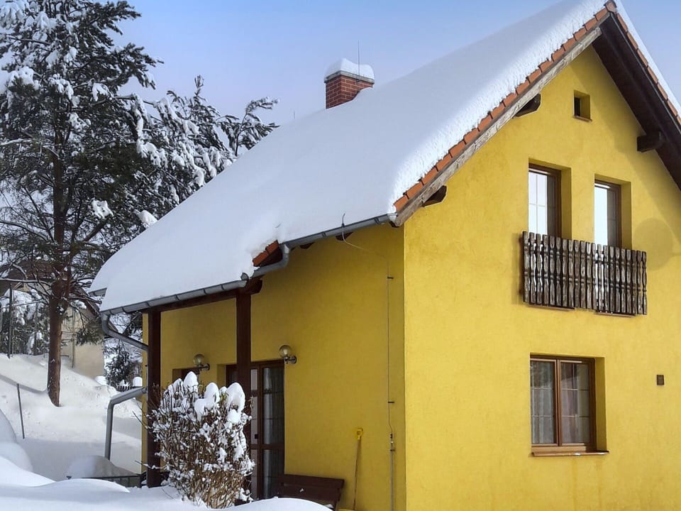 Building, Sky, Window, Property, Snow, Plant, Branch, House, Tree