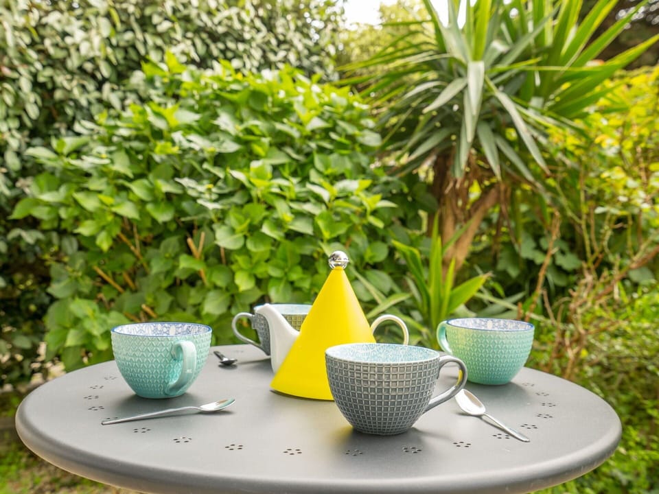 Tableware, Plant, Table, Drinkware, Dishware, Cup, Green, Leaf, Botany, Plate