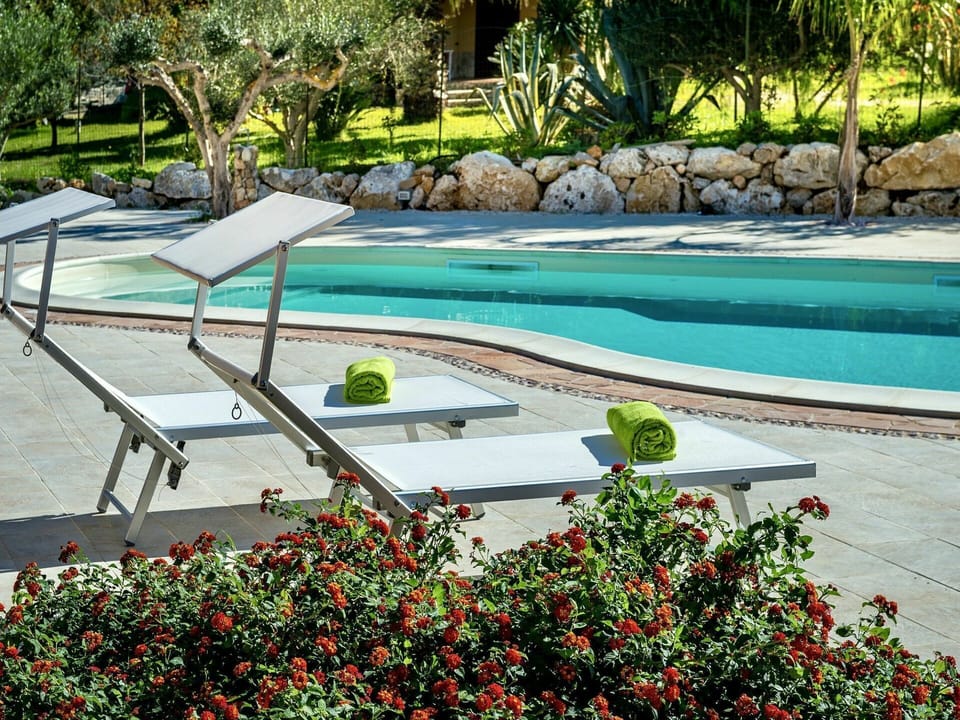 Plant, Water, Flower, Property, Green, Swimming Pool, Botany, Tree, Outdoor Furniture, Shade