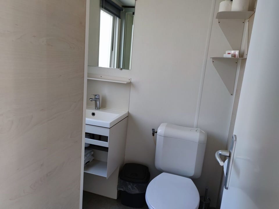 Floor, Plumbing Fixture, Flooring, Bathroom Sink, Wood, Bathroom, Toilet Seat, Sink, Interior Design, Toilet