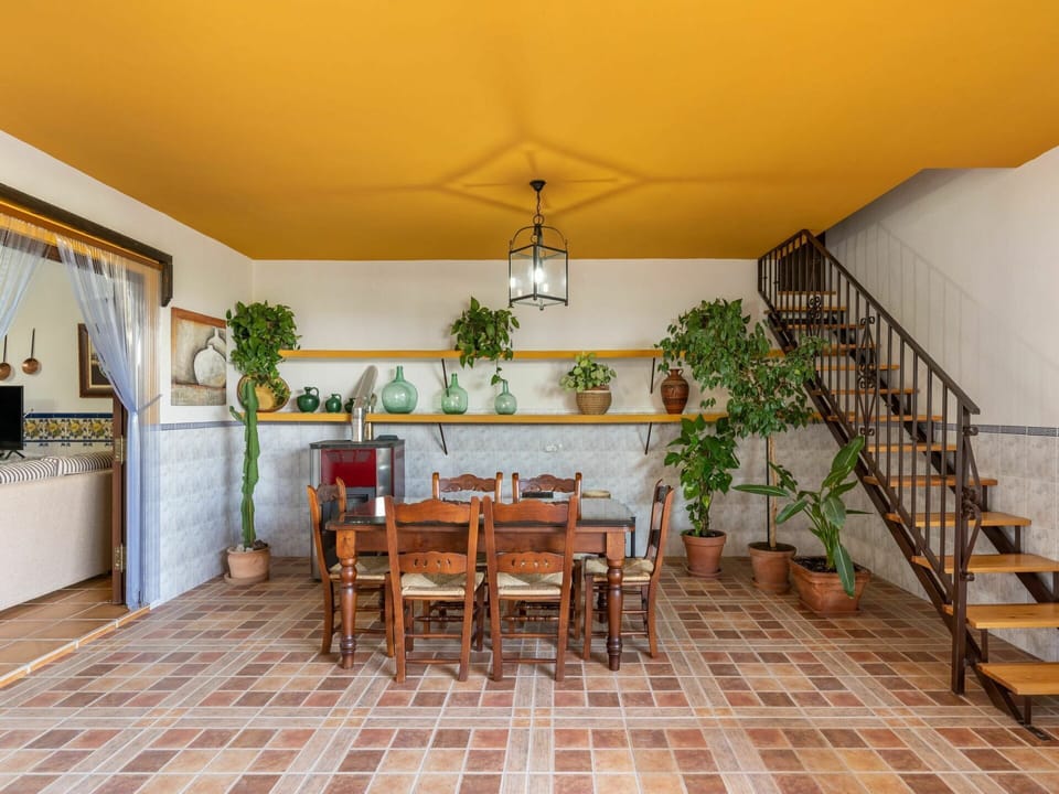Table, Furniture, Plant, Building, Flowerpot, Chair, Houseplant, Wood, Cabinetry, Shade