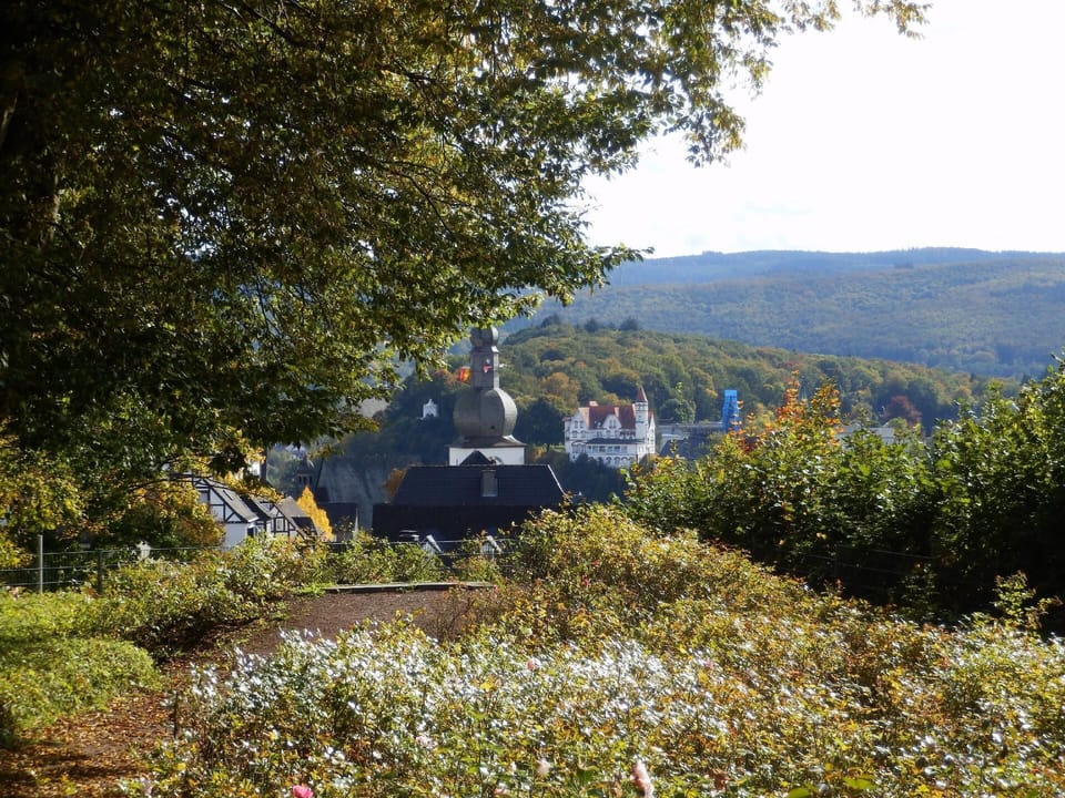 Area that directly surrounds the property