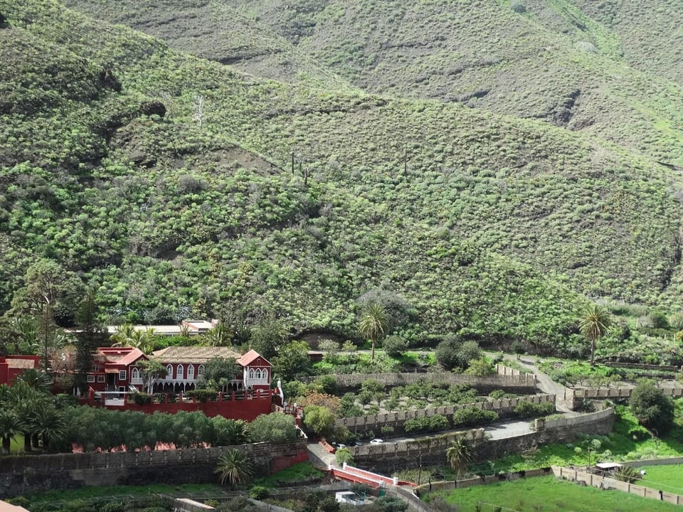 Area that directly surrounds the property