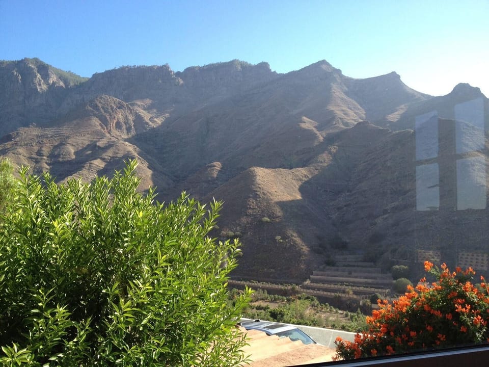 View from the window