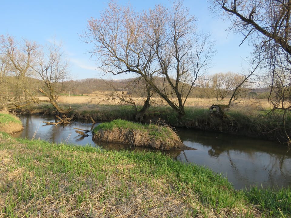 Trout stream within walking distance.