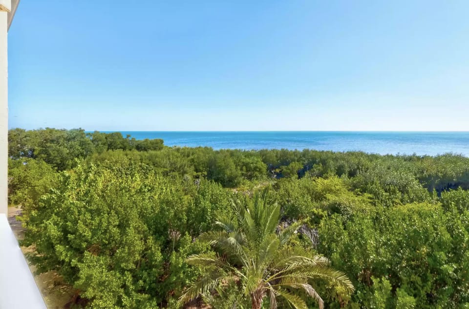 View from balcony
