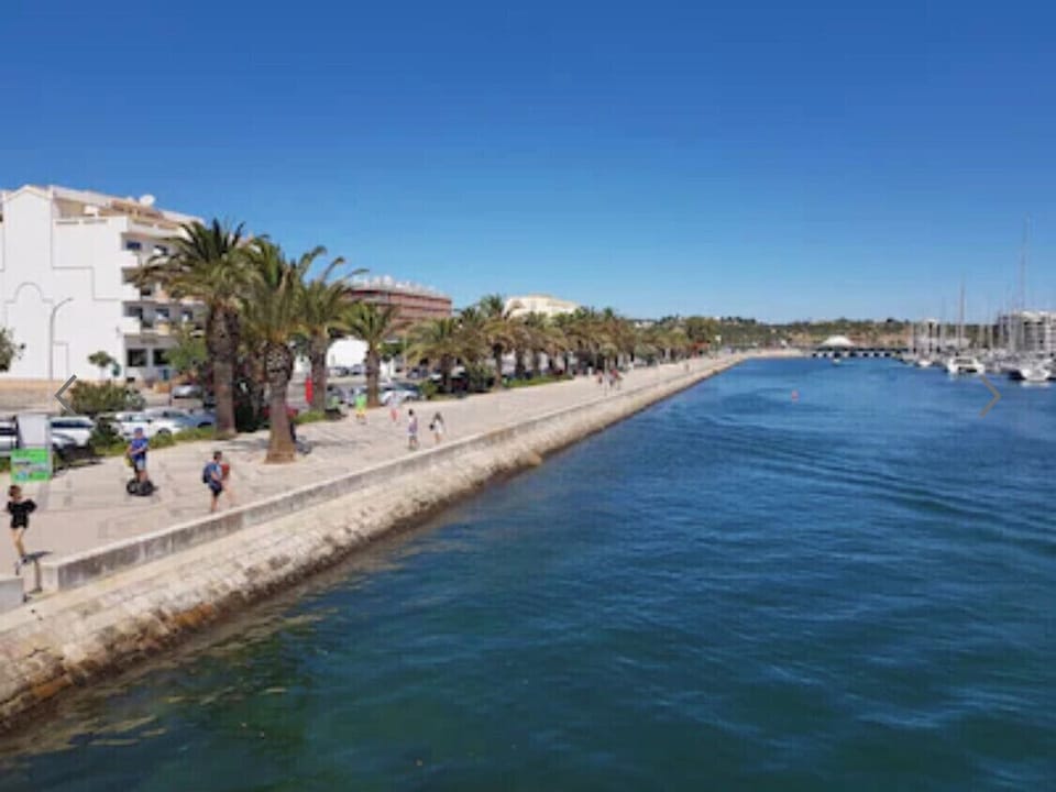 Lagos Estuary & Avenida