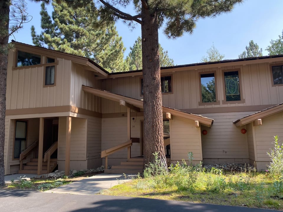 Tree, Building, Porch, Patio, House