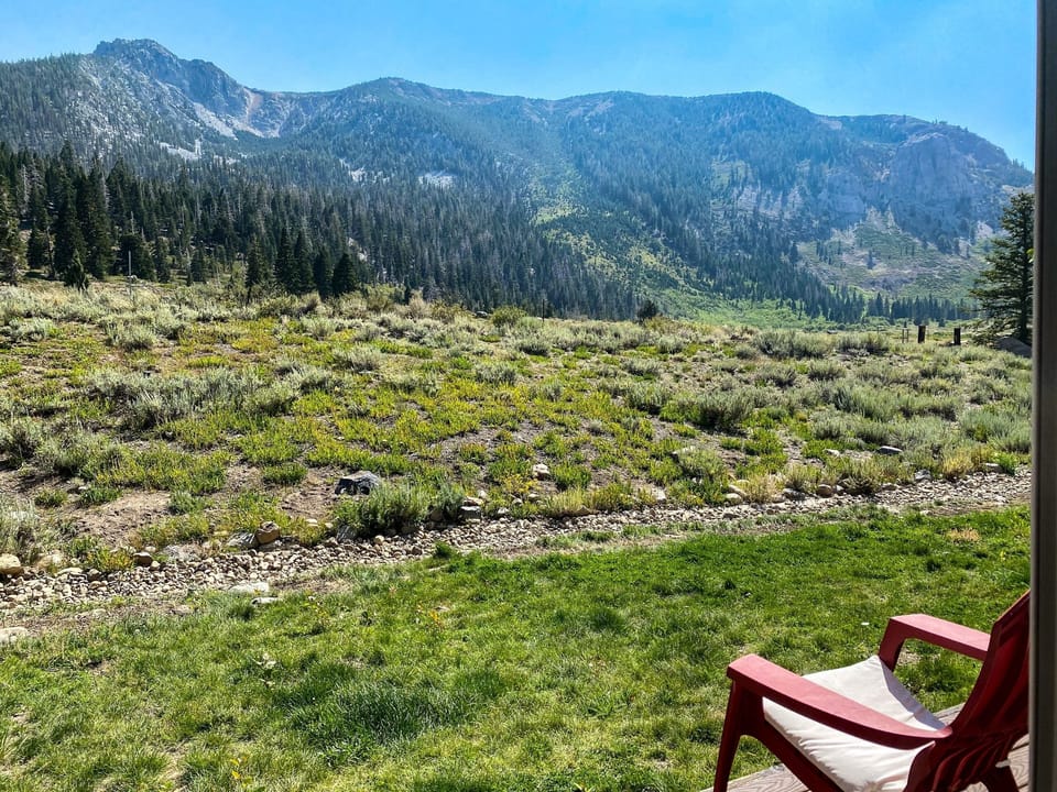 Nature, Outdoors, Grass, Furniture, Vegetation