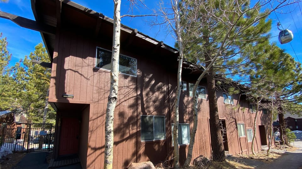 Tree, Shelter, Outdoors, Nature, Building