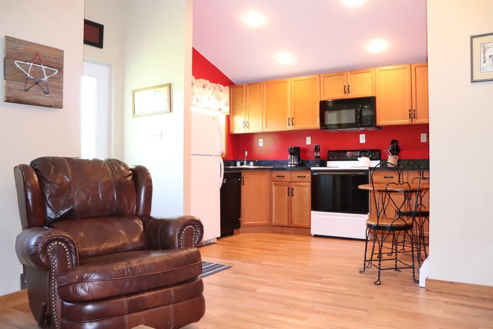 Living room and kitchen