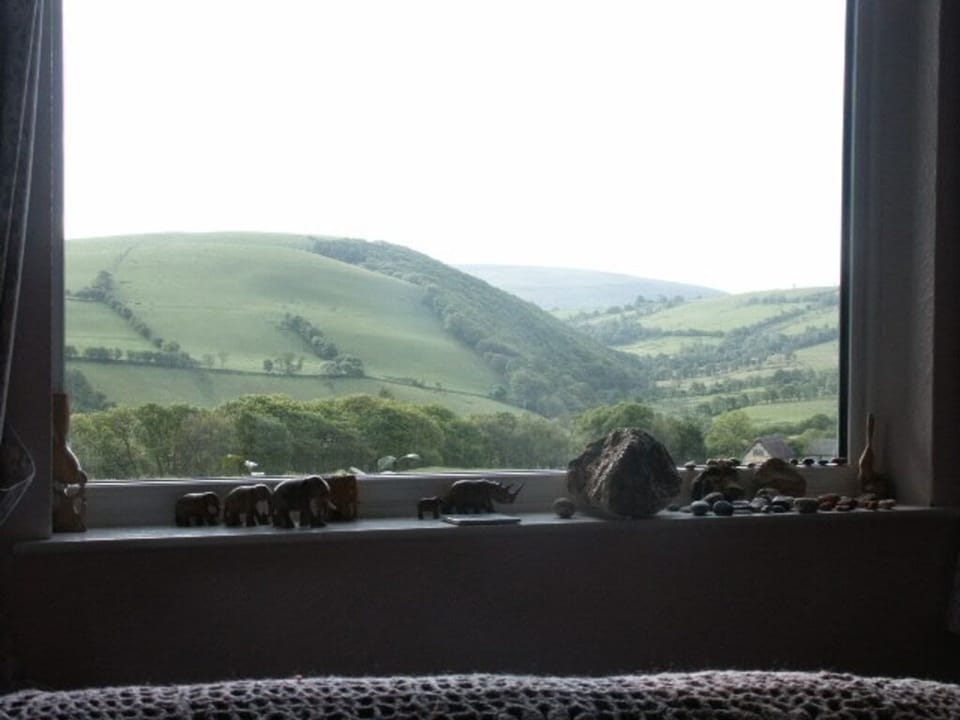View from bed in bed-living room