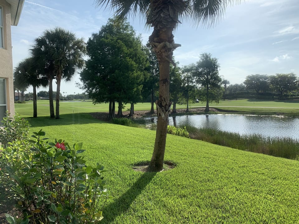 View from the condo looking north-east, back toward the Royal 8th tee-box