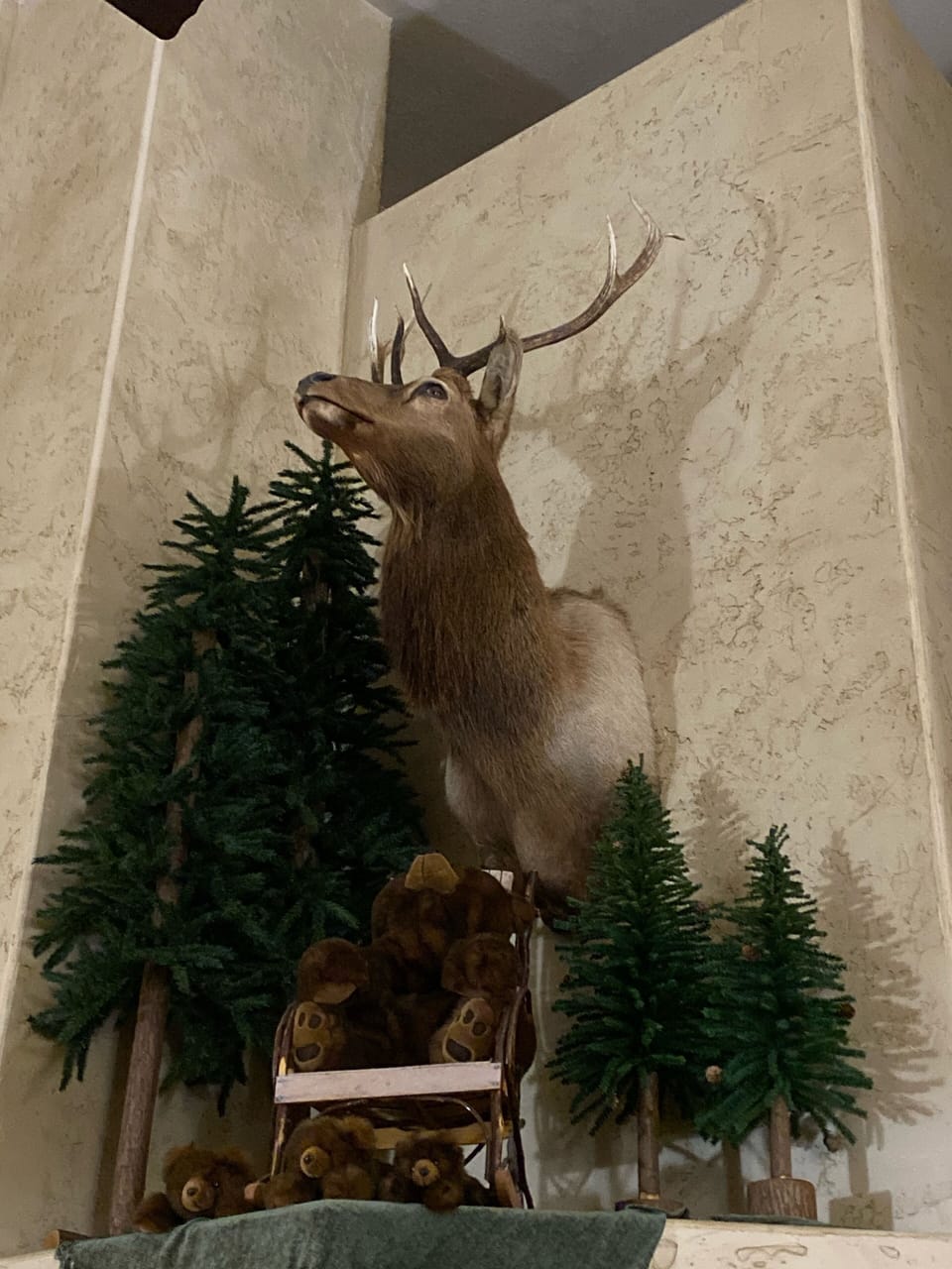 Elk feature