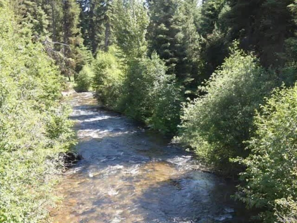 Private access to Morrell Creek below the property on the common area of the homeowners association