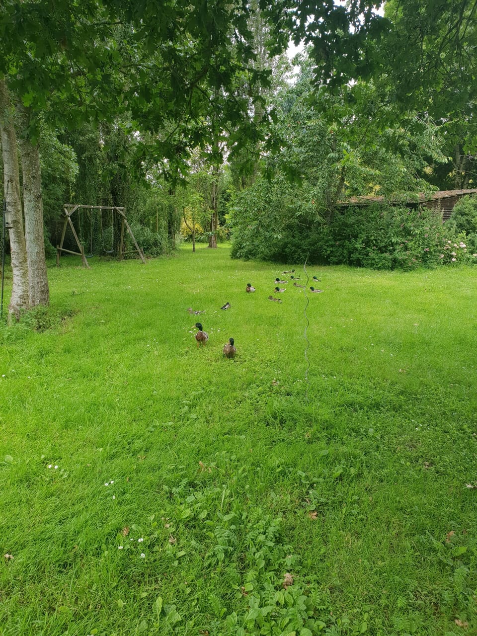Property grounds