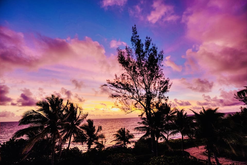 Dawn over Casuarina bay. 
