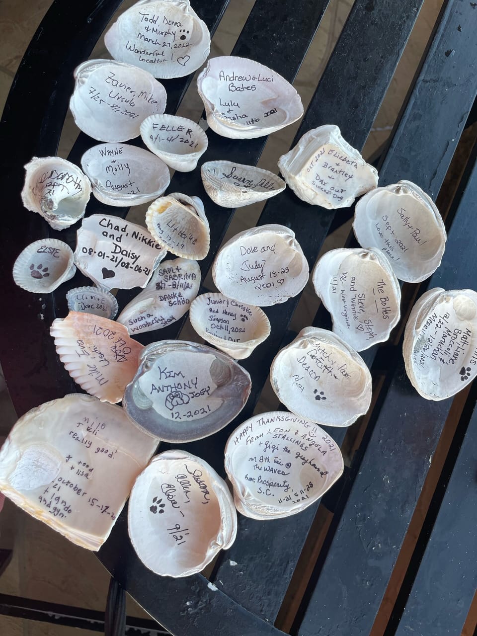 Lovely memories left by our guests 
Thank you!
