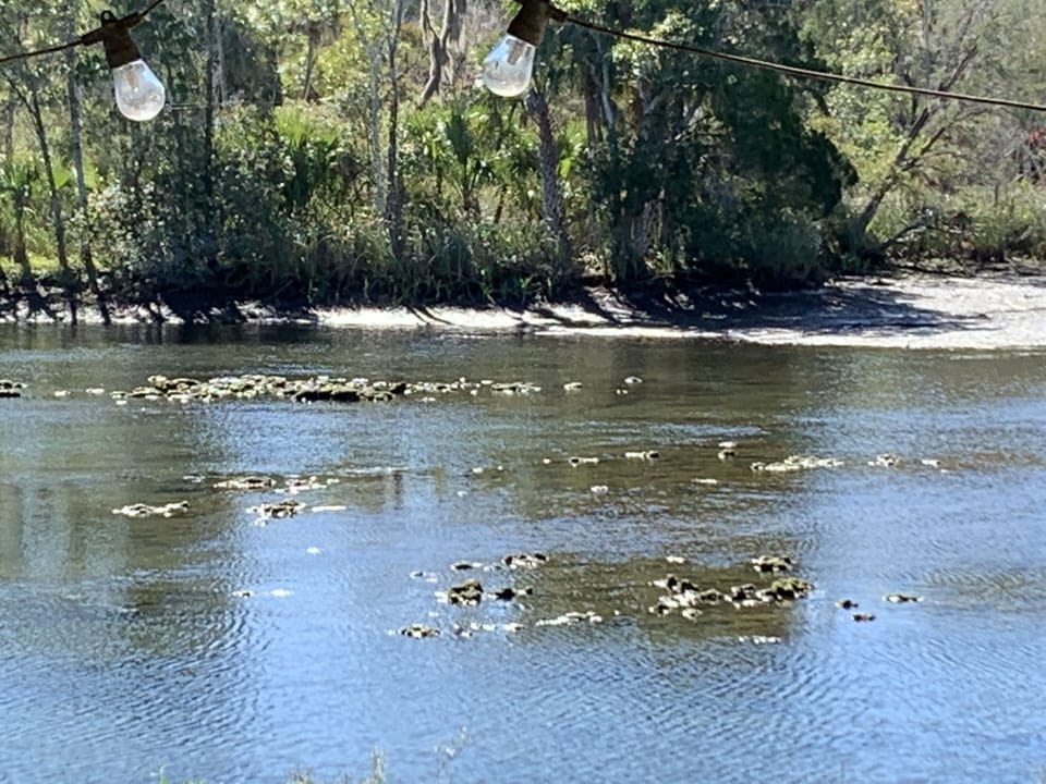 Low tide