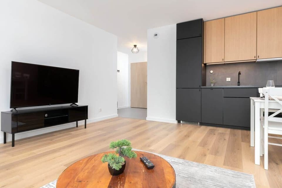 The spacious living room features a comfortable sofa bed and a flat-screen television.
