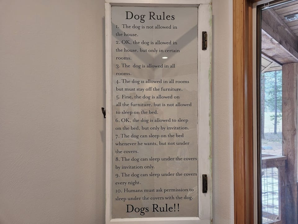 Dogs Rule!