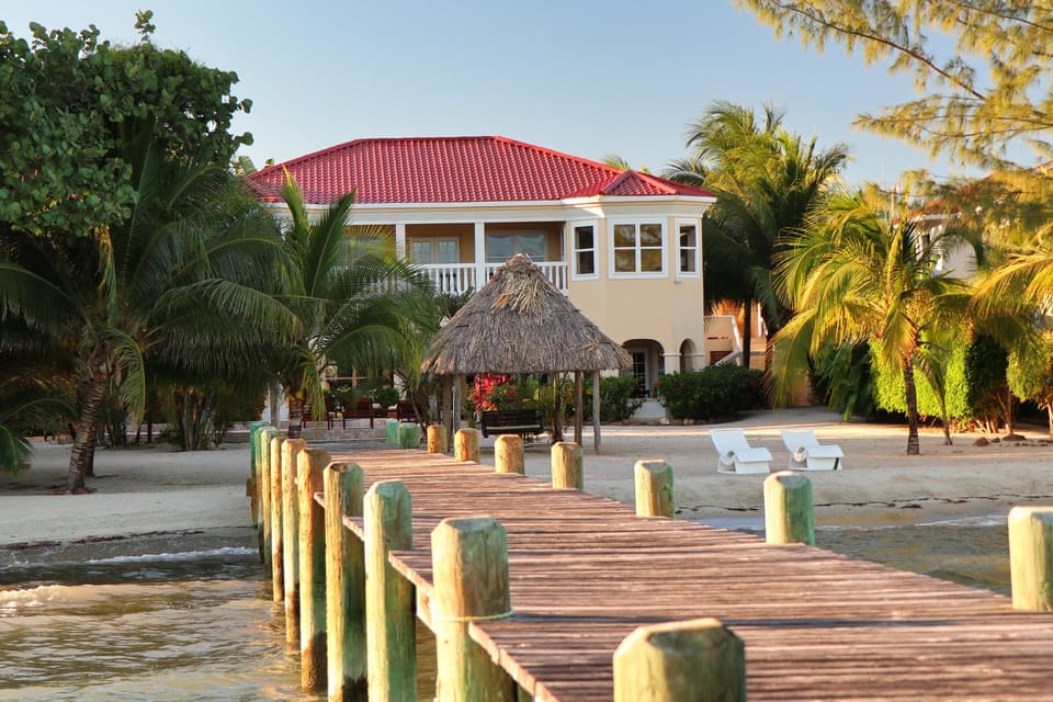 Villa Tipsy Gecko Back