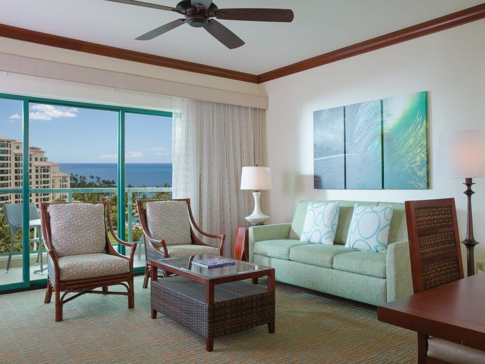 Living room with pullout sofa
