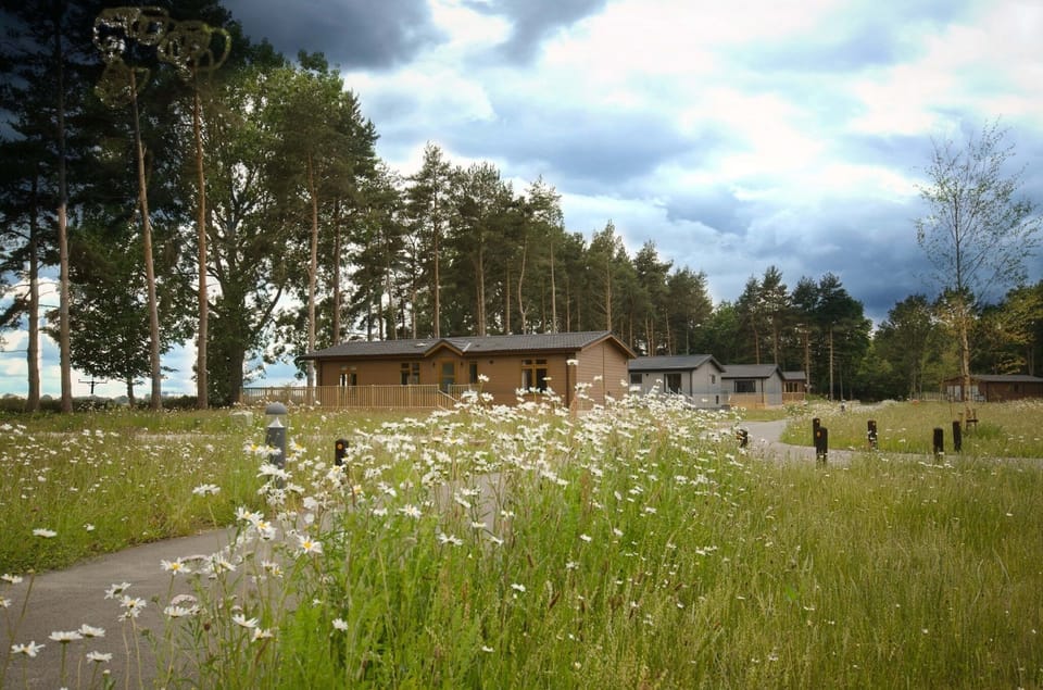 Lodges in Meadow