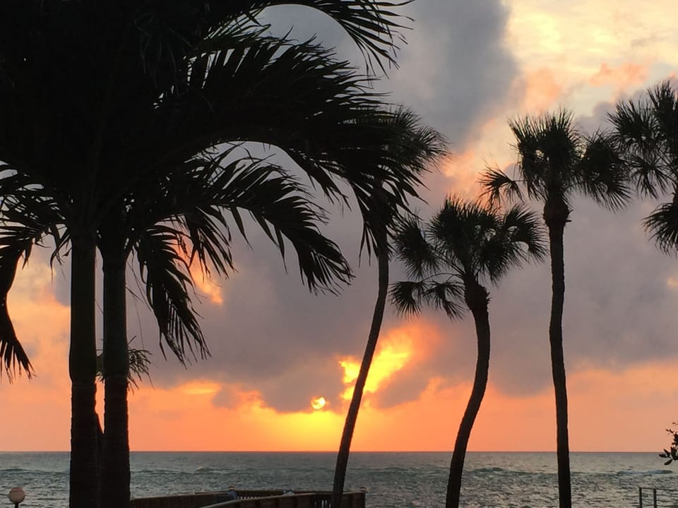 Paradise