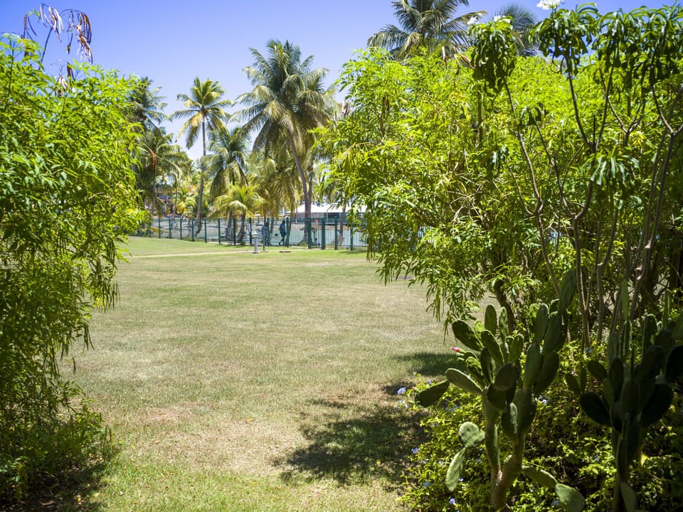 Sport court