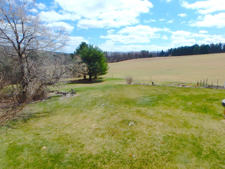 View out the picture window to the Southeast.