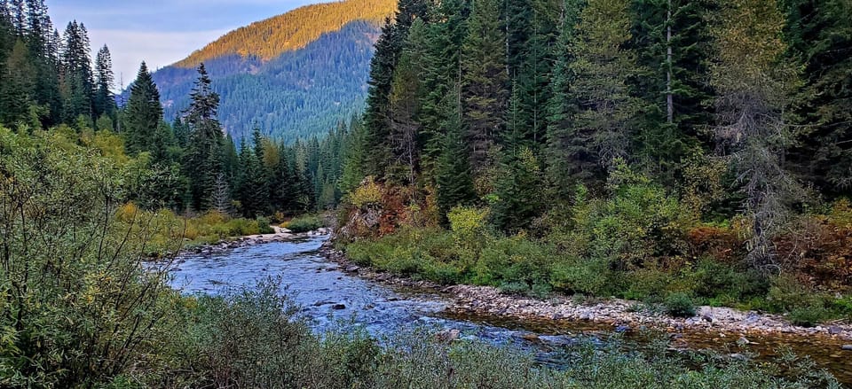 Streams galore!