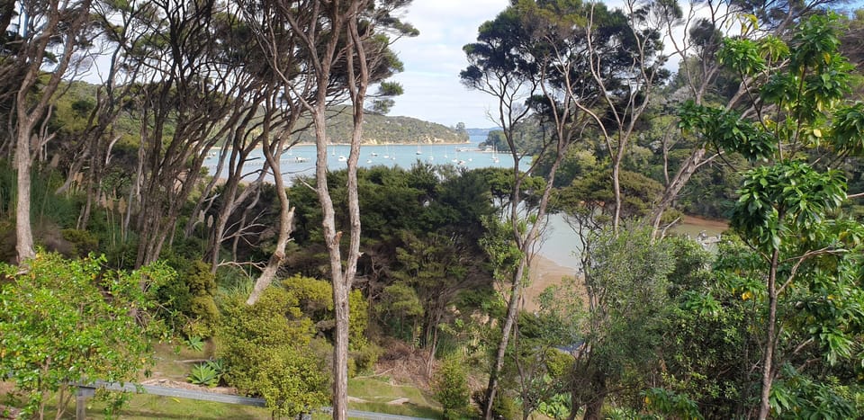 View from grounds