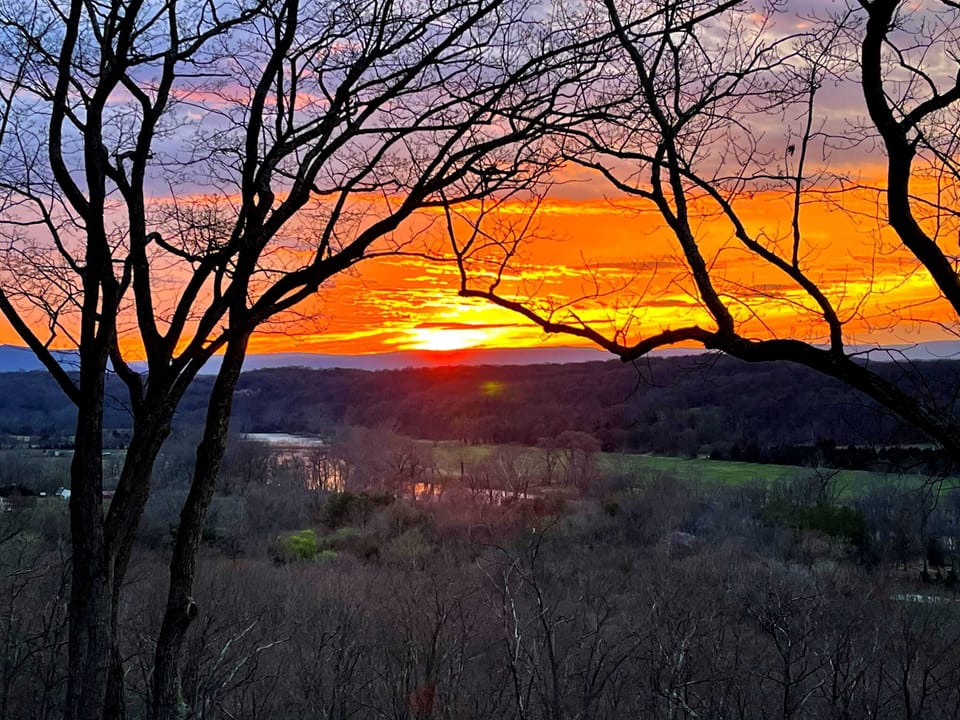 All from the back deck