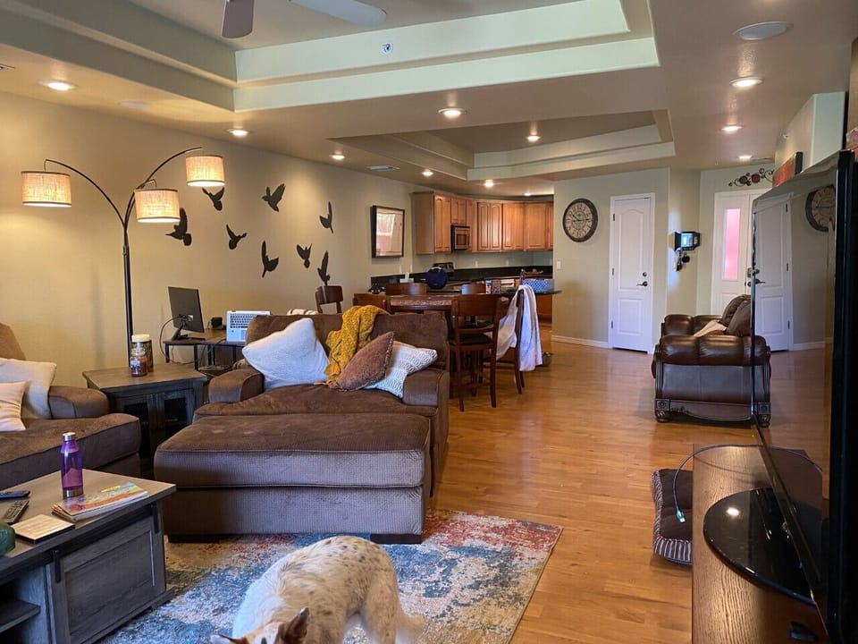 Living area thru dining into kitchen