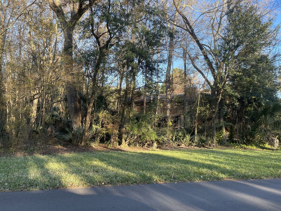 Back of condo area wooded.