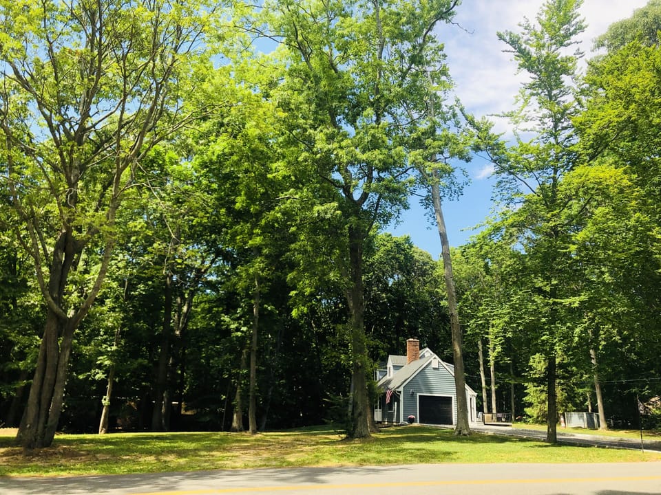 Our Shelter Island property is bursting with greenery all summer long.