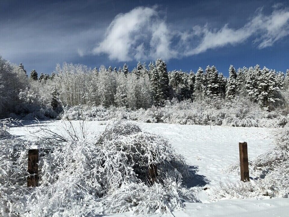 Winter photo of the property