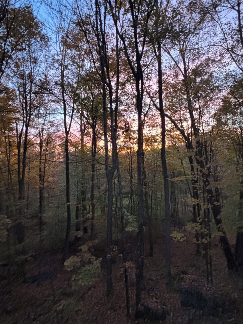 Fall sunrise 