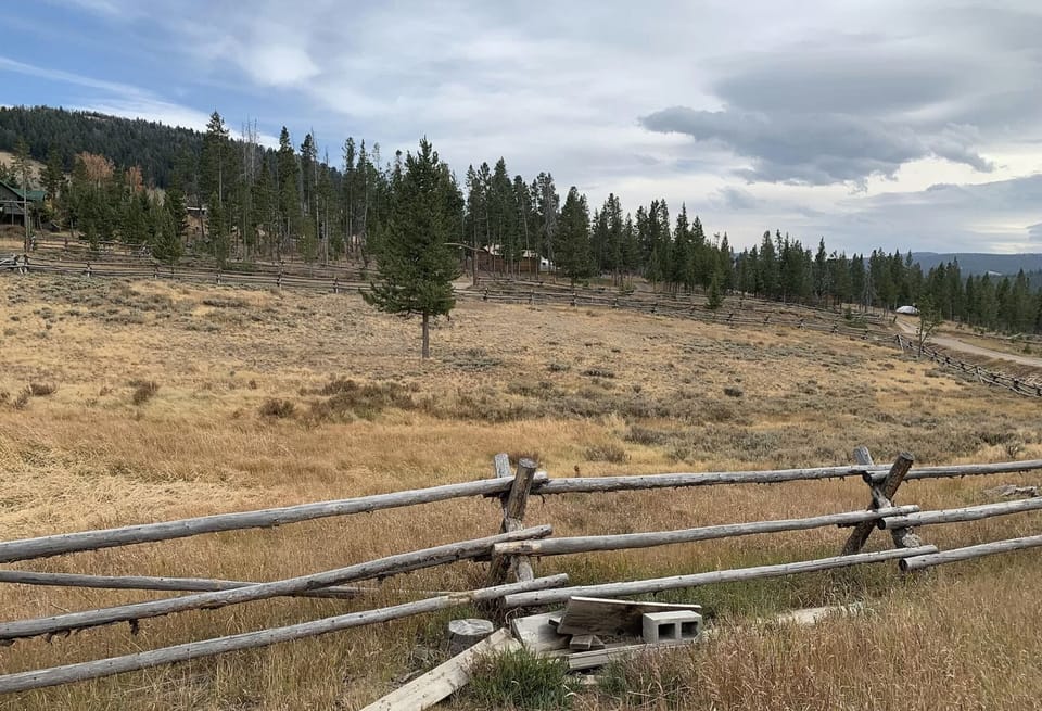 Meadow view out to Shoshone forest entrance