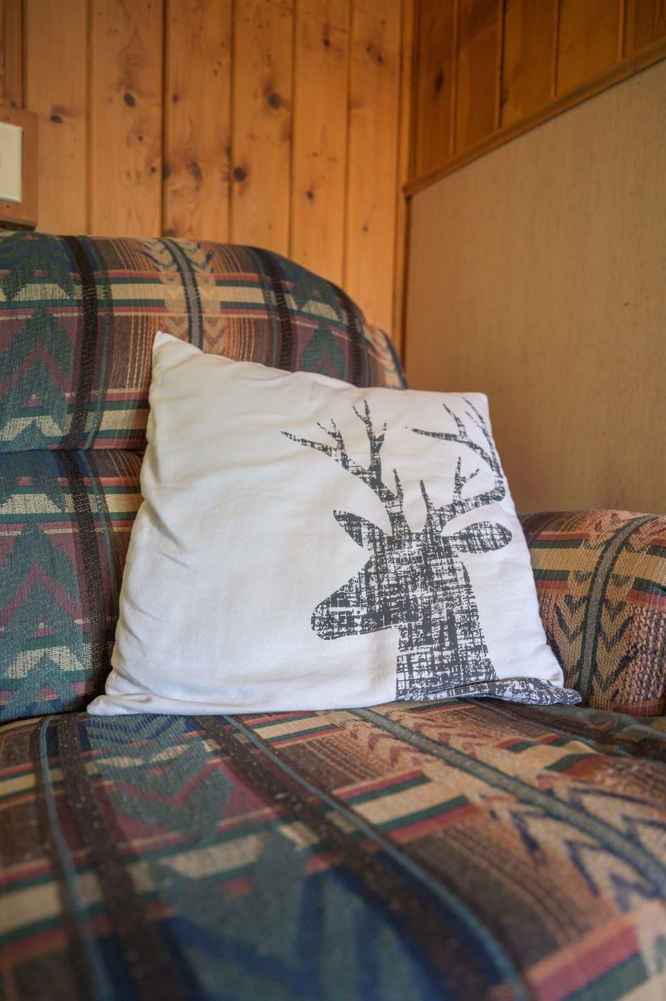 Cabin Decor