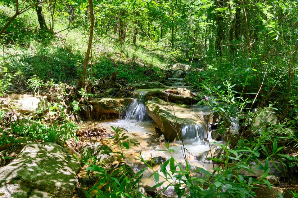 Seasonal creek on property
