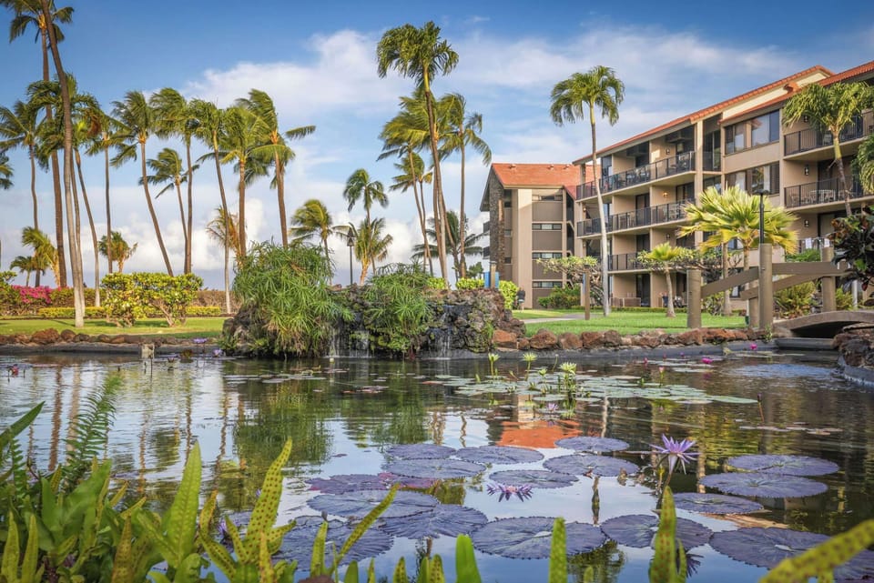 Outdoor Pond