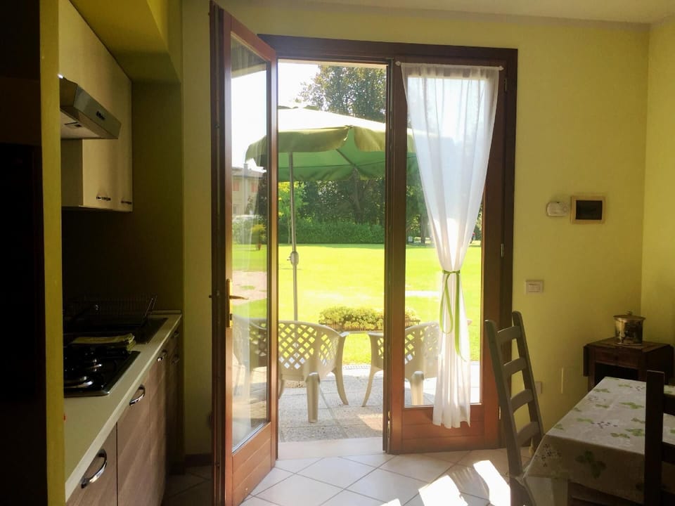 View from the window. garden view