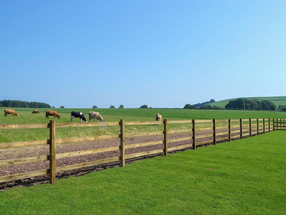 View | Auchen Ladder, Amisfield, near Dumfries