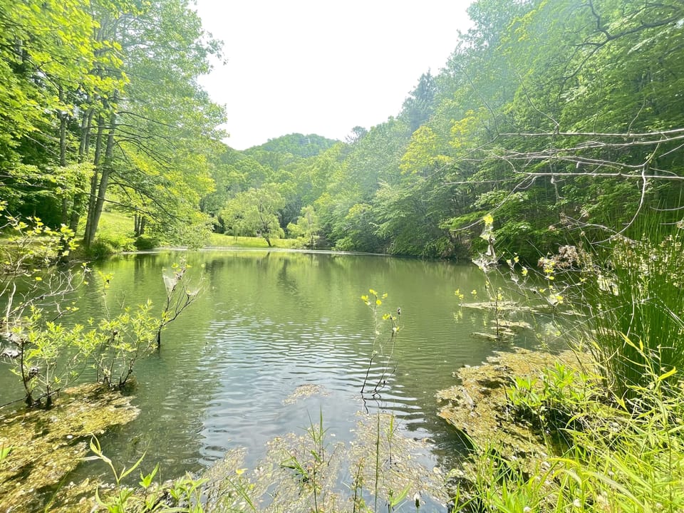 Lake