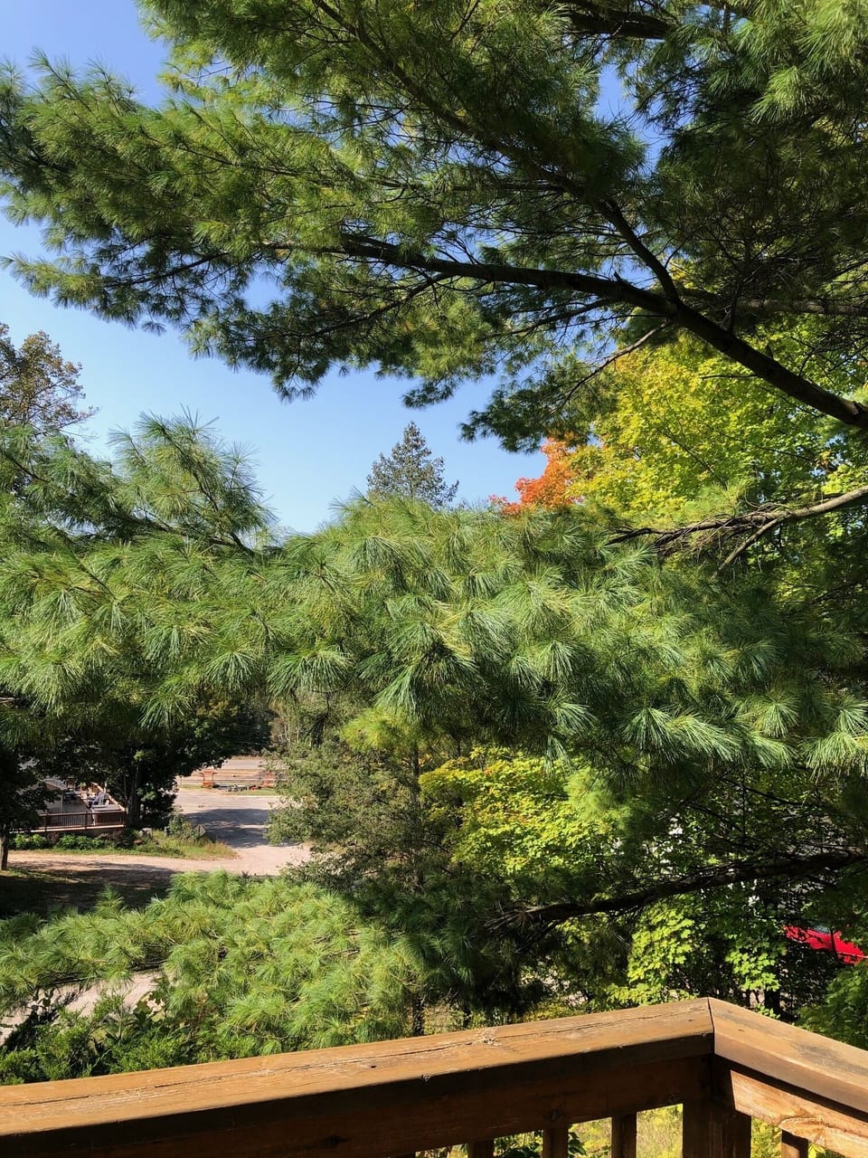View from deck