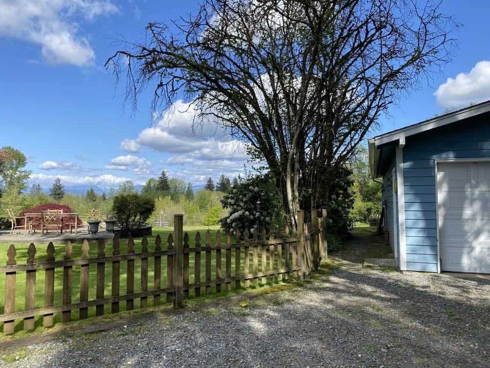 View from the drive. This path leads to the door of the cottage.