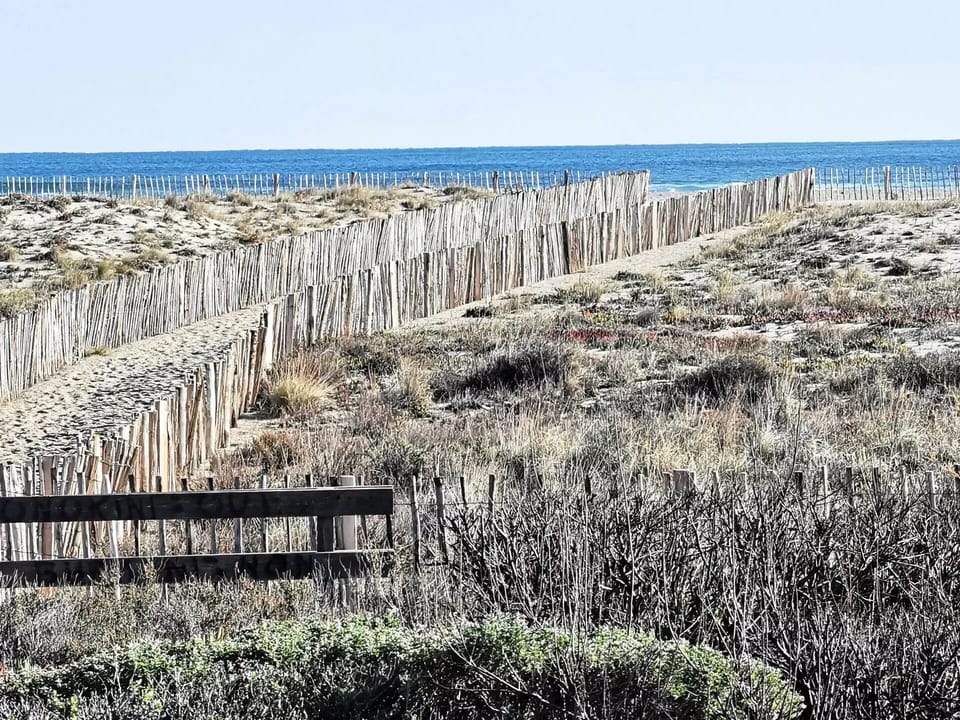 Miscellaneous